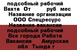 подсобный рабочий . Вахта. От 30 000 руб./мес. › Название организации ­ ООО Спецресурс › Название вакансии ­ подсобный рабочий - Все города Работа » Вакансии   . Амурская обл.,Тында г.